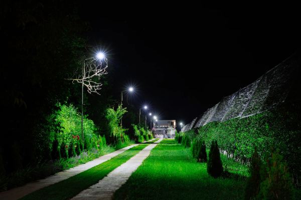 La Livadă - foto 1